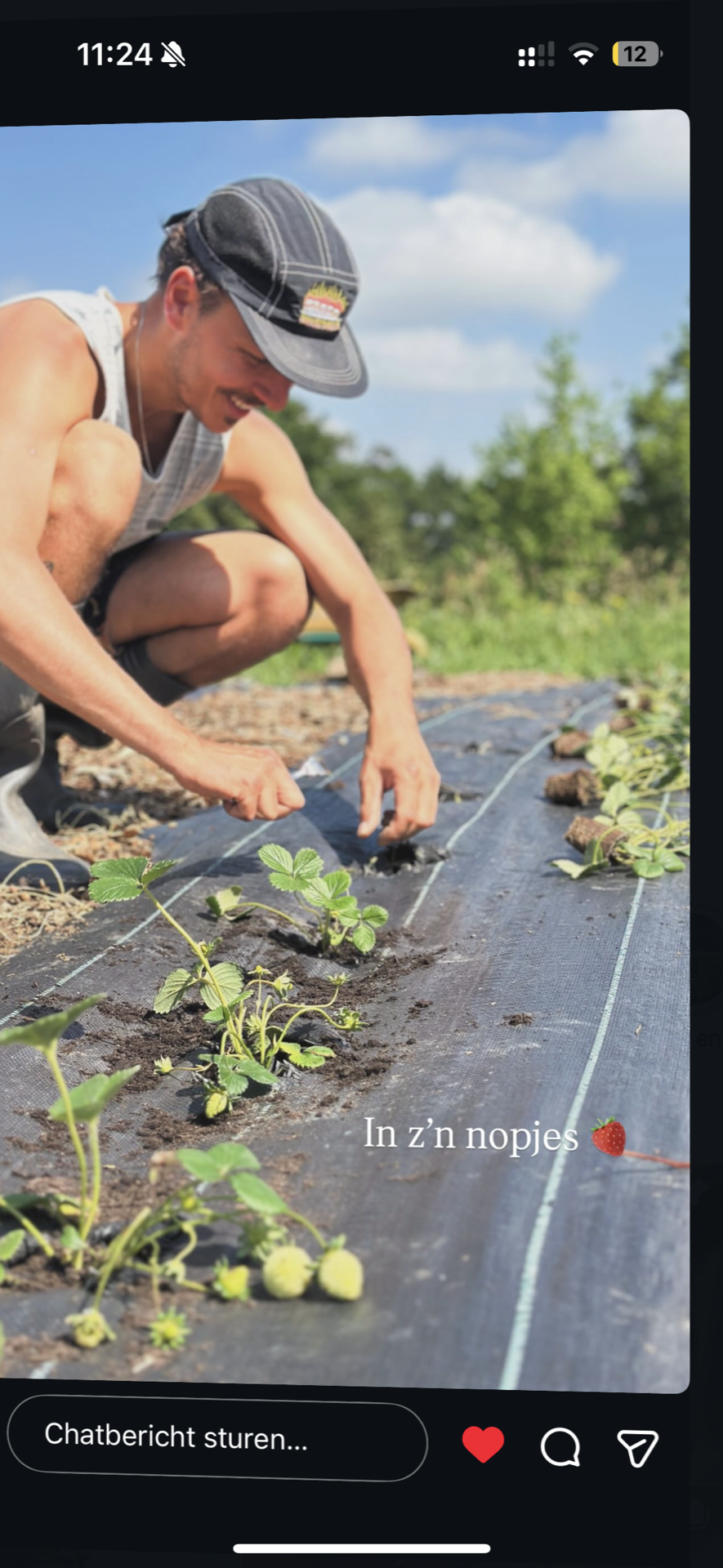 Aardbeien uit de tuin