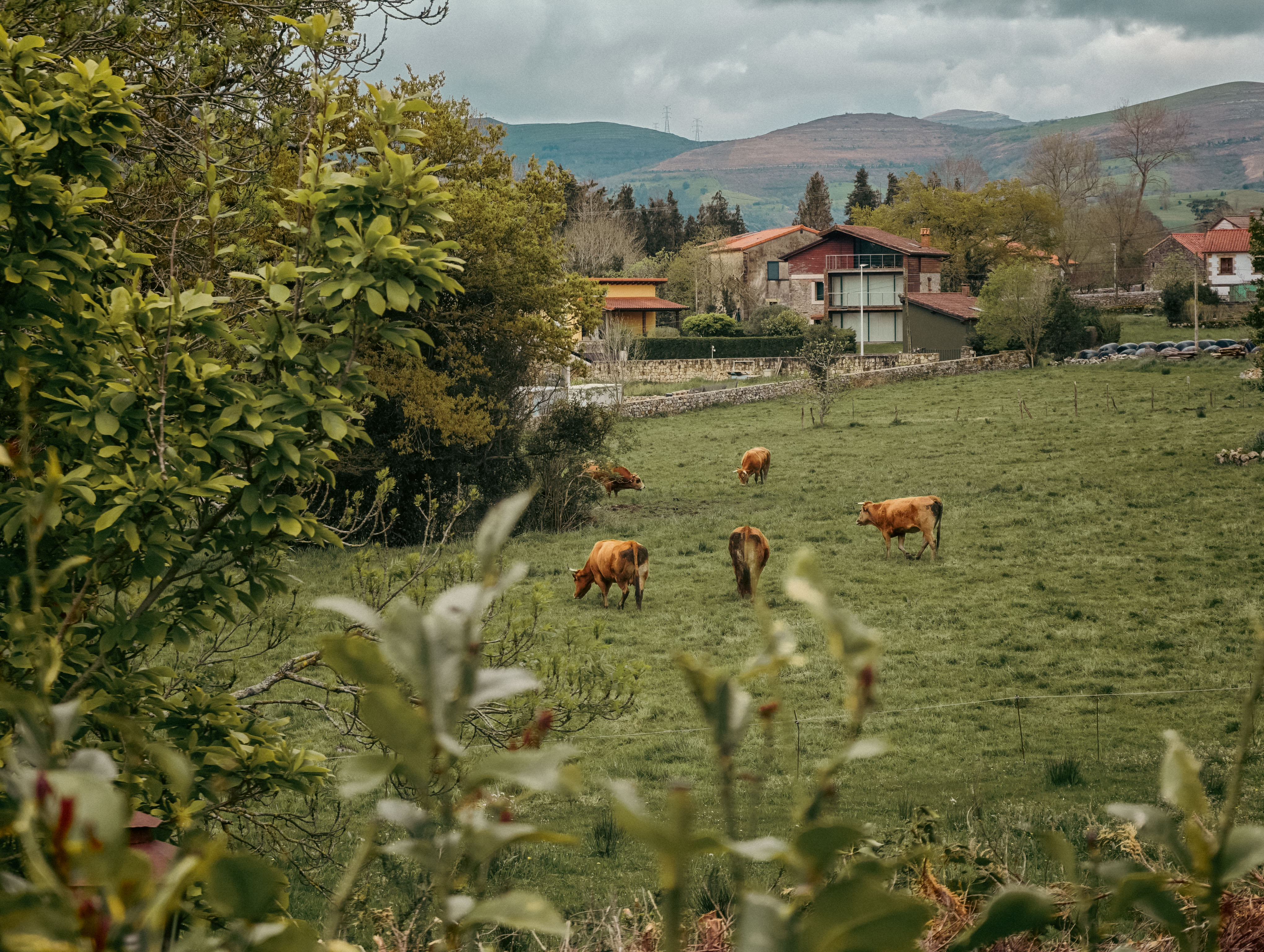 View — Casa Val de Vida